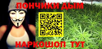 сатива Аша
